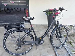E-Bike Trekkingrad Damen Bild 3