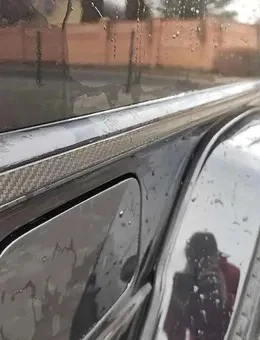 Türzierleisten passend für Mercedes G-Klasse W463 Baujahre 1989 bis 2018 Carbon 10-teilig! Bild 3