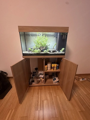 Aquarium (Juwel) 125 Liter Bild 3