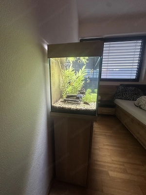 Aquarium (Juwel) 125 Liter Bild 5