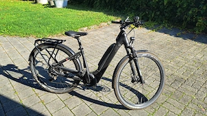 Damen E-Bike Flyer Upstreet 5 - 600 Watt