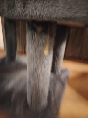 Kratzbaum Katzen Bild 2