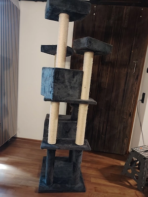 Kratzbaum Katzen Bild 5