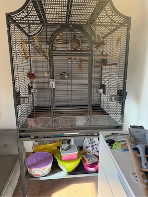 Vogelkäfig und 2 Vögel zu verkaufen  Bild 4