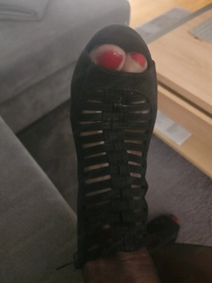 Suche DWT bzw. gleichgesinnte!!