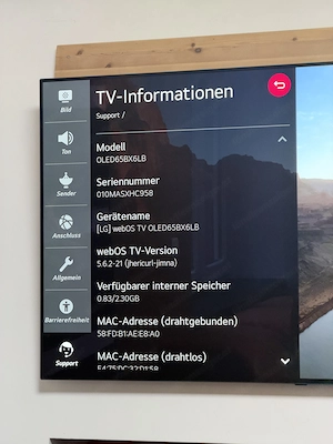 LG OLED 65 Zoll 4K Smart-TV   mit Pixelfehlern   OLED65BX6LB