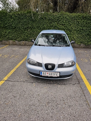 Seat Ibiza Bild 4