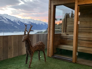     Hahnenkammrennen im Januar 2027 Bild 8