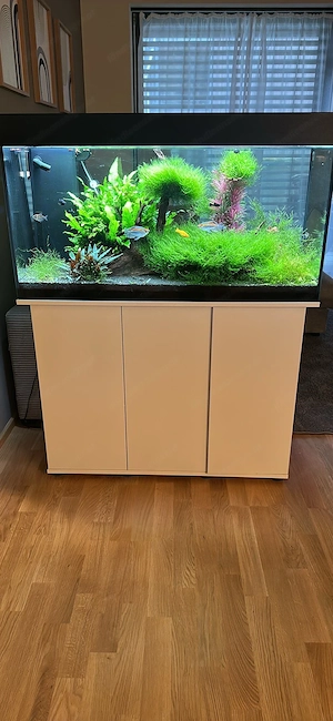 Juwel Rio 180 Aquarium Bild 4
