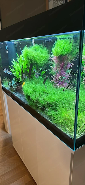 Juwel Rio 180 Aquarium Bild 3
