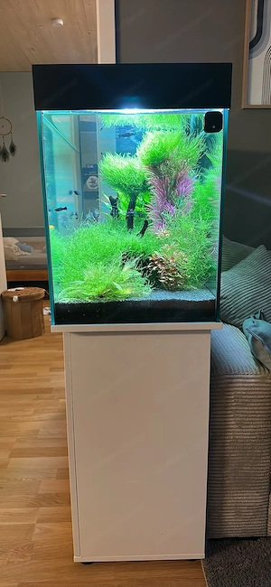 Juwel Rio 180 Aquarium Bild 2