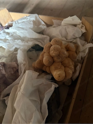 Steinsammlung mit Mineralien und Kristallen   2 Kisten Bild 2