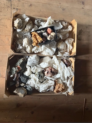 Steinsammlung mit Mineralien und Kristallen   2 Kisten Bild 5