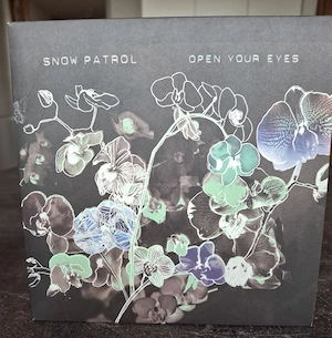 Snow Patrol Bild 2
