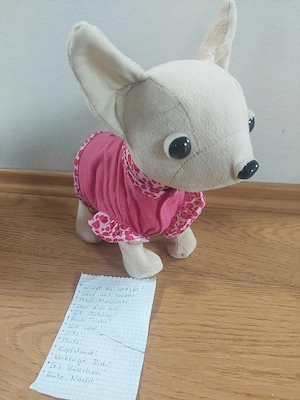 Interaktiver Chihuahua  Bild 3