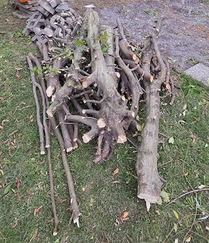 Mischholz gefällt Bild 2
