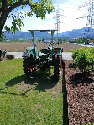 Oldtimer Traktor  Bild 2