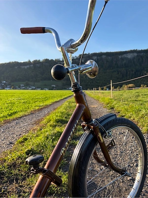 Klapprad BarZeli Custom Bild 4