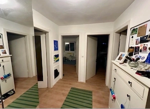 3 zimmer wohnung zu vermieten Bild 5