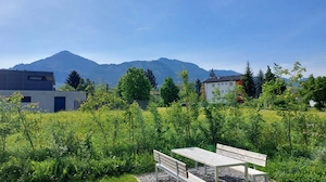 2 Zimmer Wohnung, Live-Video-Besichtigung Bild 4