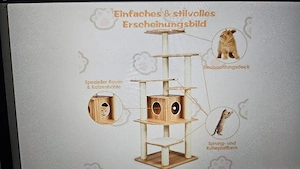 Edler Katzenturm aus Holz Bild 4