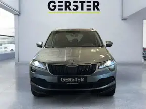 Skoda Karoq Bild 2