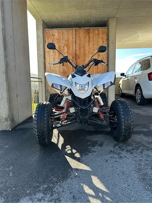 Quad - Explorer Trasher 520 Bild 2
