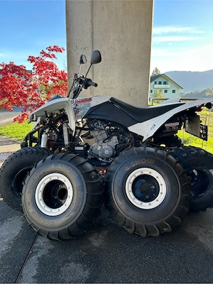 Quad - Explorer Trasher 520 Bild 3