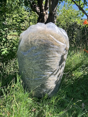 Premium Heu für Kleintiere   1. Mahd, handgemacht (10 kg) Bild 2