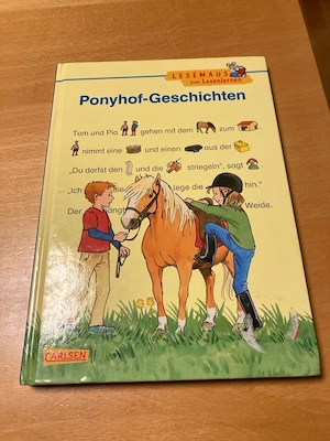 Ponyhof Geschichten Buch