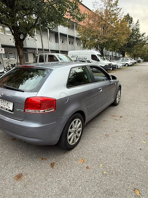 Audi A3 8p 1.9Tdi Bild 4