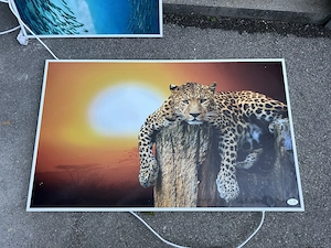 Titel: Könighaus Infrarot-Bildheizung 1000 W, Motiv Leopard Bild 2