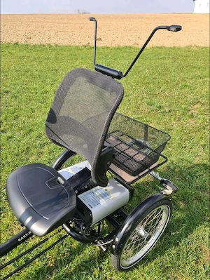 Elektro Dreirad Van Raam Easy Rider Bild 6