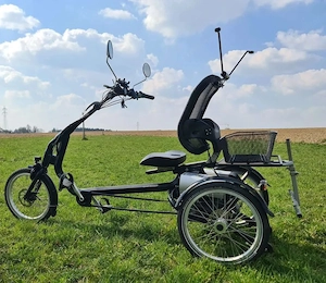 Elektro Dreirad Van Raam Easy Rider Bild 2