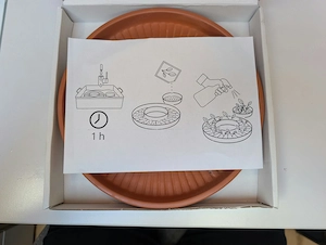 IKEA DAKSJUS Keimschale 2-teilig Terrakotta Bild 3