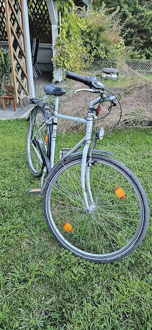 Herrenfahrrad 7 Gang Nabenschaltung Bild 3