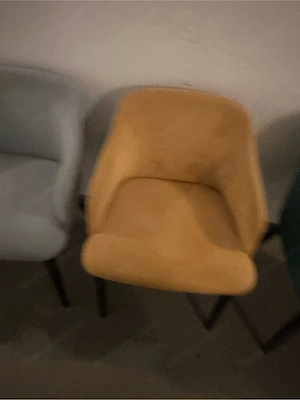 Stühle Samt Bild 4