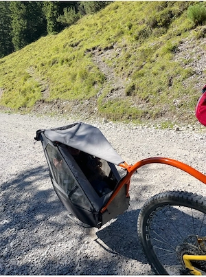 Tout Terrain Singletrailer II Sport   bike-components Edition   wie neu Bild 4