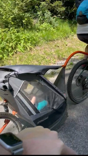 Tout Terrain Singletrailer II Sport   bike-components Edition   wie neu Bild 2
