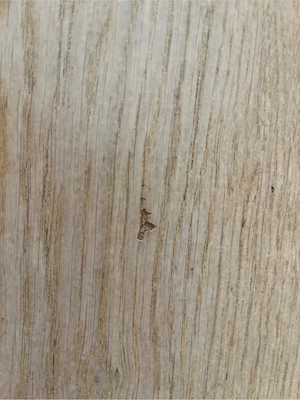 Tisch ausziehbar Bild 3
