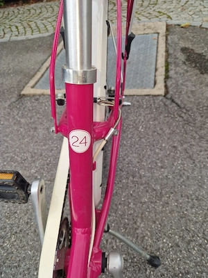 Jugendfahrrad 24 Zoll