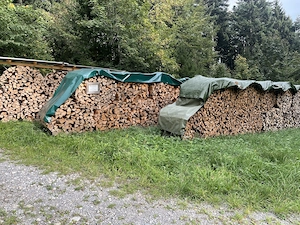 Brennholz hart oder weich Bild 3