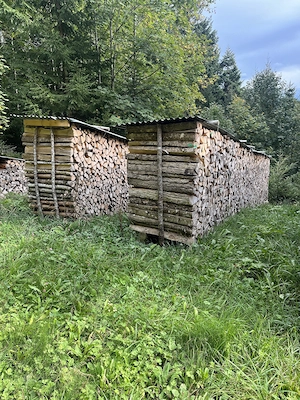 Brennholz hart oder weich Bild 2