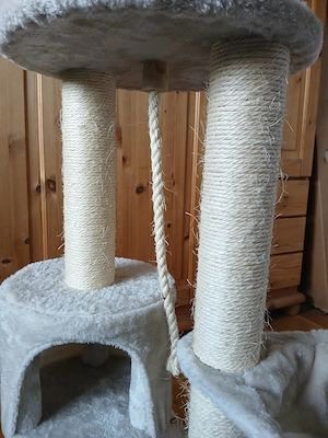 beiger Kratzbaum Bild 5