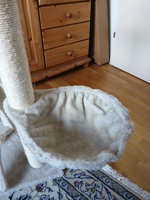 beiger Kratzbaum Bild 3