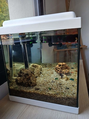 Aquarium mit Fischen  Bild 4