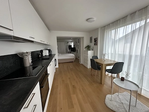 neuwertige 1-Zimmer-Wohnung mit Balkon zu vermieten Bild 2