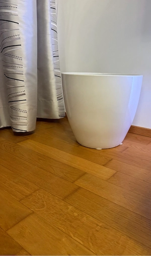 große Pflanze Bild 2