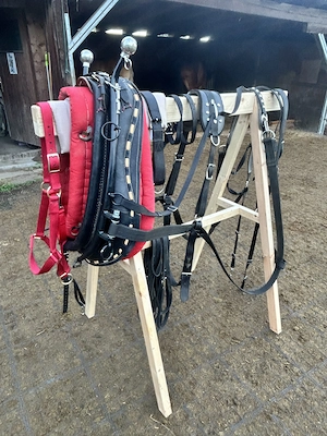 Holzrückegeschirr Amisch Bild 3