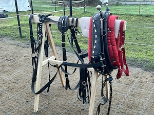 Holzrückegeschirr Amisch Bild 5